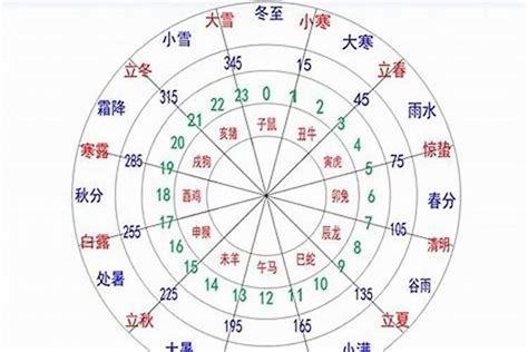 八字五行比例|五行的比例说明什么